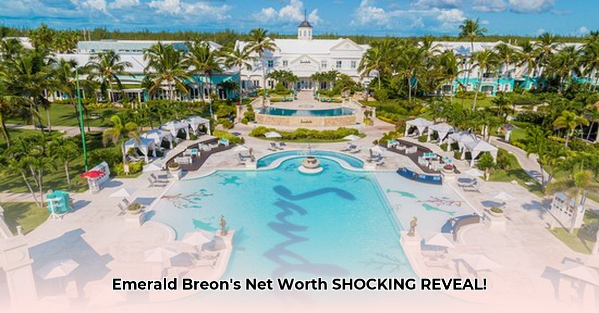 emerald-breon-net-worth